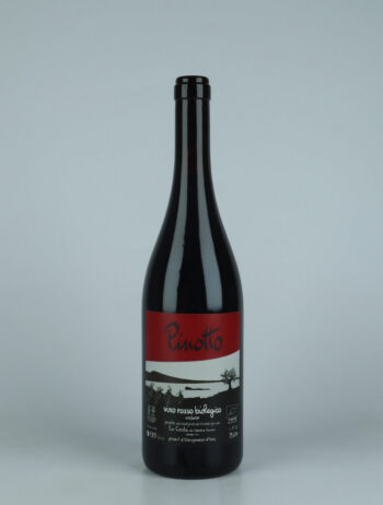 A bottle 2022 Pinotto Red wine from Le Coste, Lazio in Italy