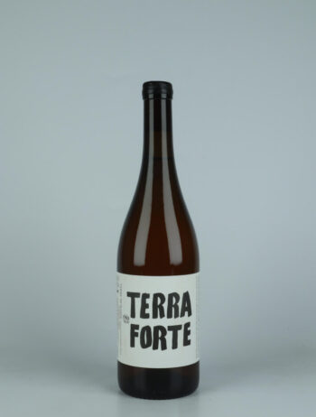 A bottle 2023 Terra Forte Orange wine from Tanca Nica, Sicily in Italy