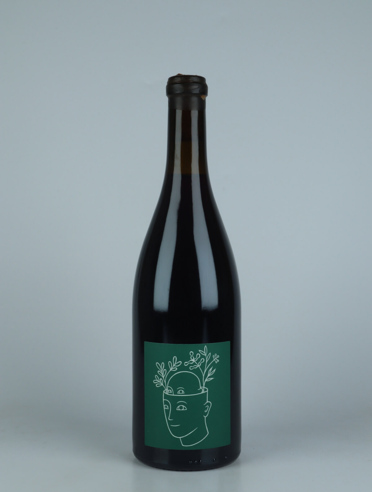 A bottle 2020 Coteaux Champenois - La Vie Est Stroebel Rosé from Stroebel, Champagne in France