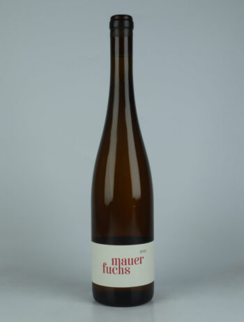 A bottle 2020 Mauerfuchs White wine from Jakob Tennstedt, Mosel in Germany