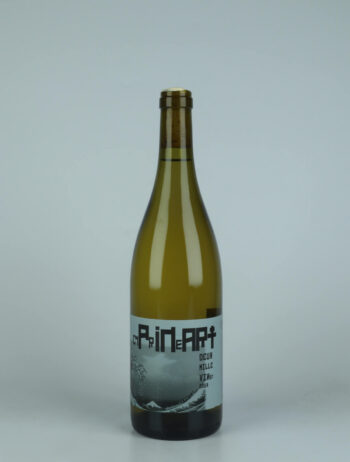 A bottle 2022 Bourgogne Blanc Côte Chalonnaise - Cyprineart White wine from Benoit Delorme, Burgundy in France
