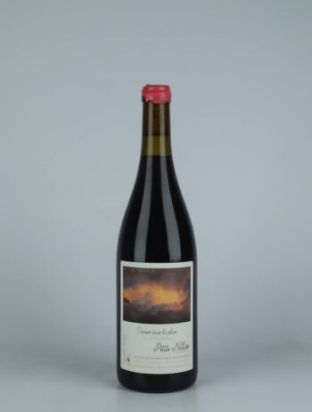A bottle 2022 Danser Sous la Pluie Red wine from Petite Nature, Ardèche in France