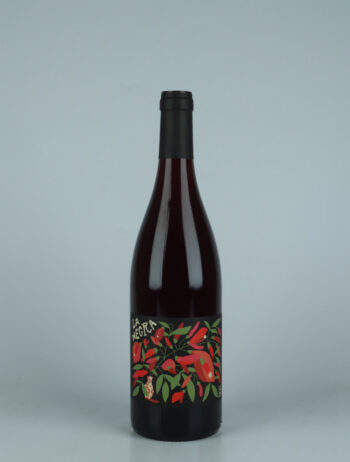 A bottle 2023 La Negra Red wine from Domaine Yoyo, Roussillon in France