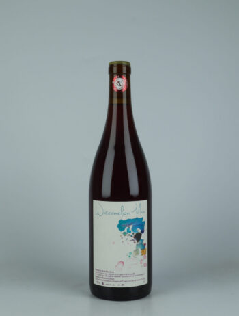 A bottle 2022 Watermelon Man White wine from Domaine de la Côtelette, Burgundy in France