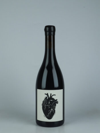 A bottle 2023 Amour Vache Red wine from Vin Noé, Beaujolais in France
