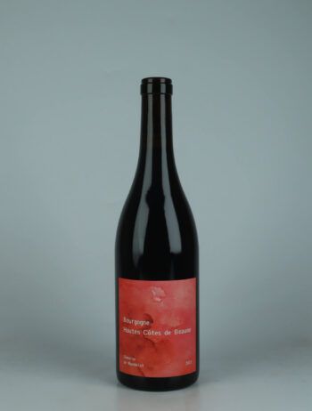 A bottle 2023 Hautes-Côtes de Beaune Red wine from Domaine de Mandelot, Burgundy in France