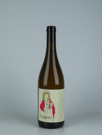 A bottle 2023 La Vergine White wine from Edoardo Sacchetto, Veneto in Italy
