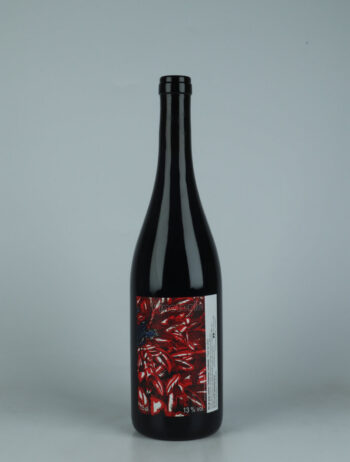 A bottle 2023 Pinoterie - Pinot Noir Red wine from Les Vins du Fab, Neuchâtel in Switzerland