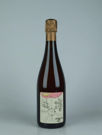 A bottle 2021 Chamery 1. Cru - La Masure - Rosé de macération Sparkling from Thomas Perseval, Champagne in France