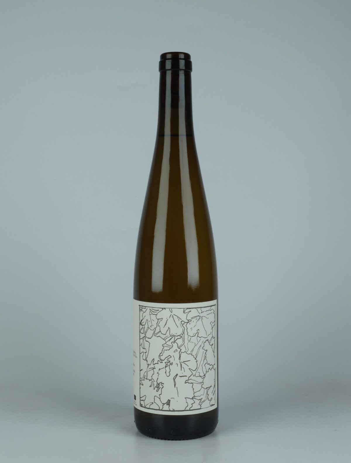 A bottle N.V. (2022/2023) Riesling White wine from Domaine Goepp, Alsace in France