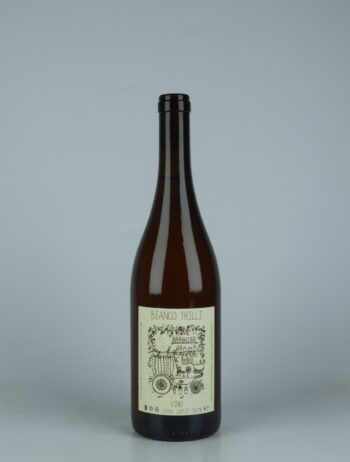 A bottle 2023 Vino Bianco Trilli White wine from Gazzetta, Lazio in Italy