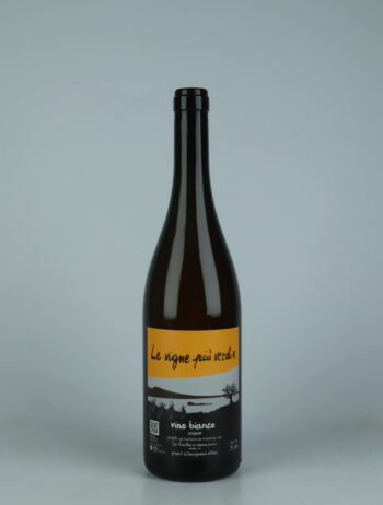 A bottle 2016 Le Vigne Piú Vecchie White wine from Le Coste, Lazio in Italy