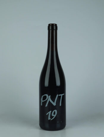 A bottle 2019 PNT Red wine from Le Coste, Lazio in Italy