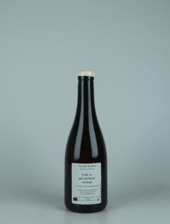A bottle 2020 Tout ce qui est beau revient White wine from Anders Frederik Steen & Anne Bruun Blauert, Ardèche in France