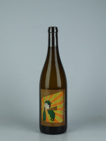 A bottle 2023 UGM Qvevris White wine from Frédéric Cossard, Rhône in France