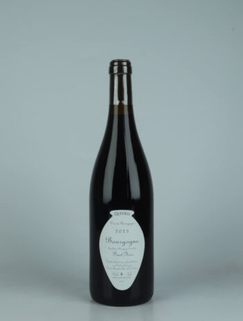 A bottle 2023 Bourgogne Rouge - Bedeau - Qvevris Red wine from Frédéric Cossard, Burgundy in France