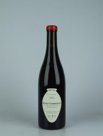 A bottle 2023 Gevrey Chambertin - Les Genevrières - Qvevris Red wine from Frédéric Cossard, Burgundy in France