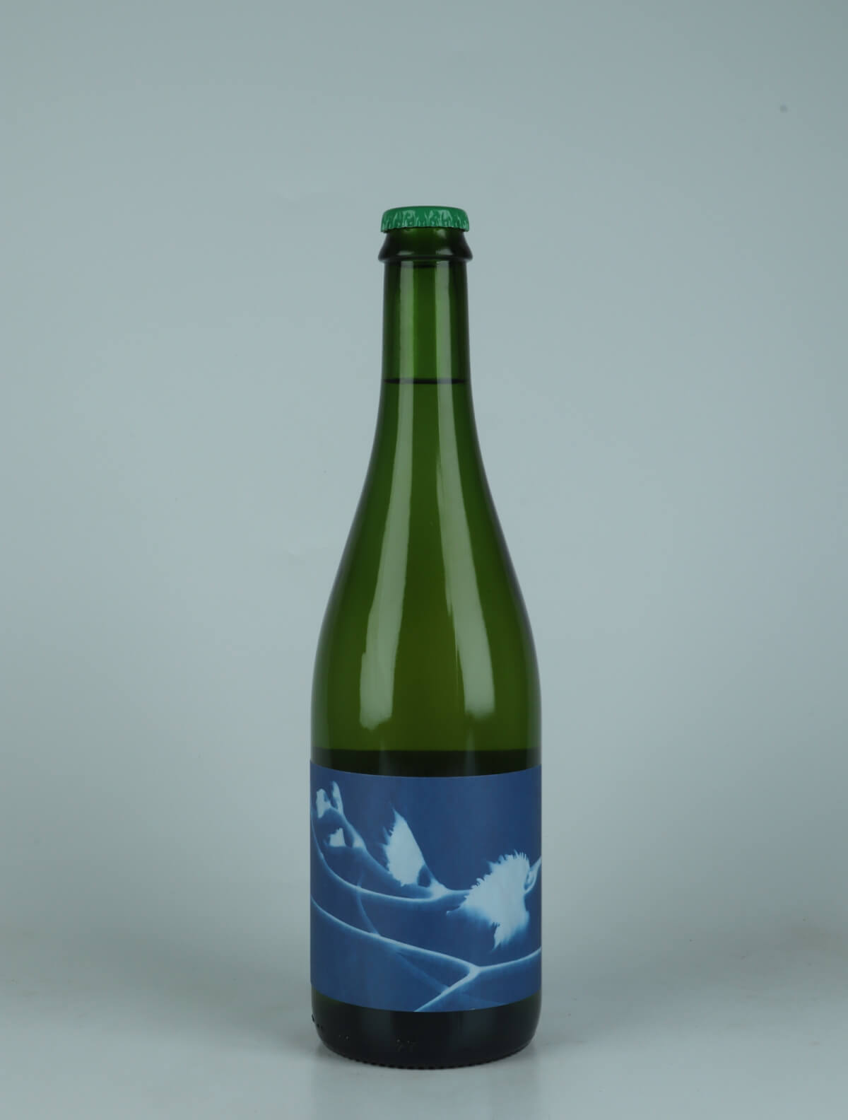 A bottle 2022 Le Rayon Blanc Hvidvin from Thomas Puéchavy, Loire in Frankrig