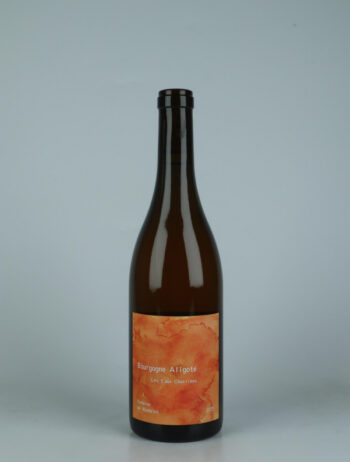 A bottle 2023 Bourgogne Aligoté - Macération - Les Eaux Charriées Orange wine from Domaine de Mandelot, Burgundy in France