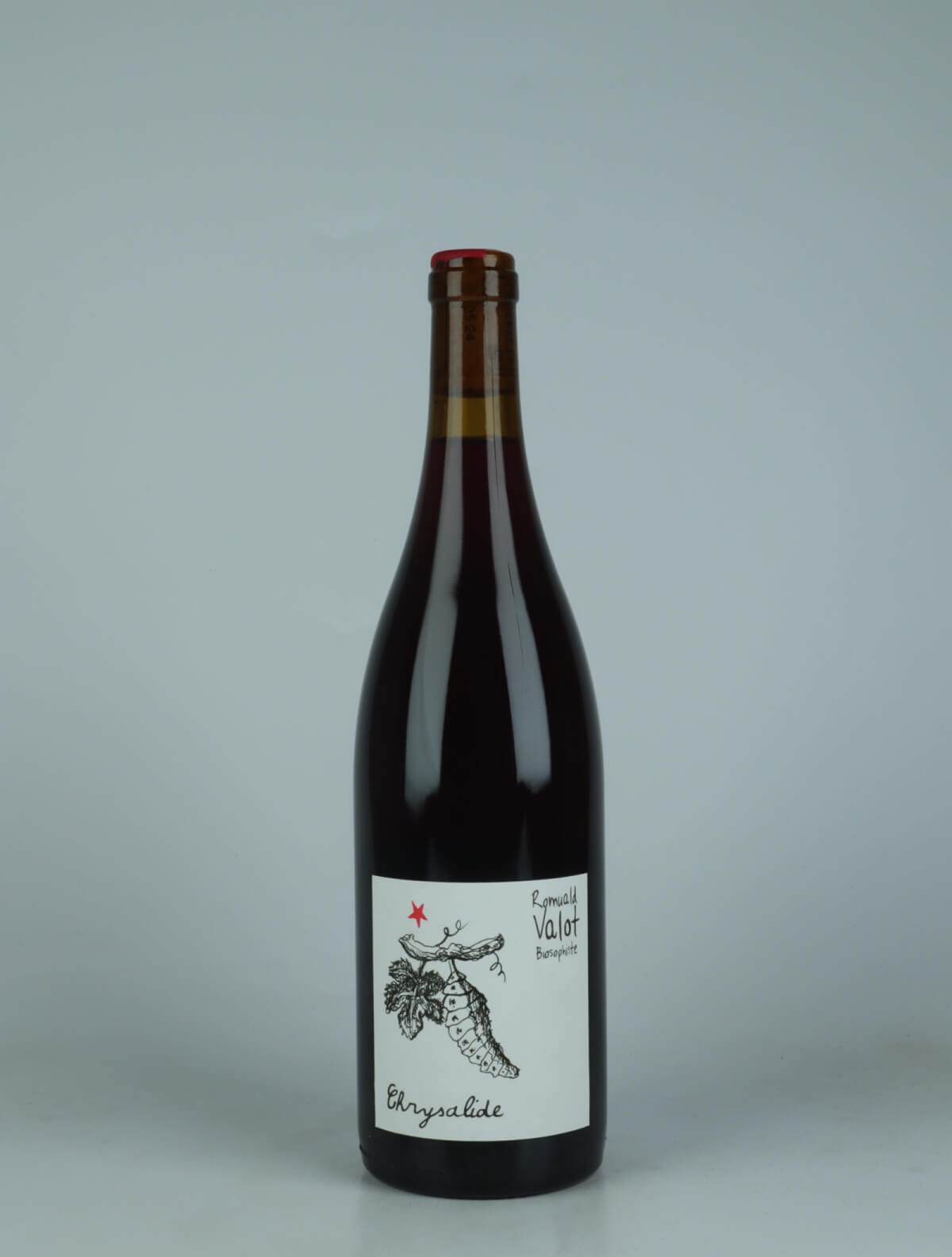 A bottle 2024 Chrysalide Rødvin from Romuald Valot, Beaujolais in Frankrig