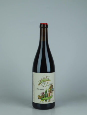A bottle 2023 Hey Gamin! Red wine from François Saint-Lô, Loire in France