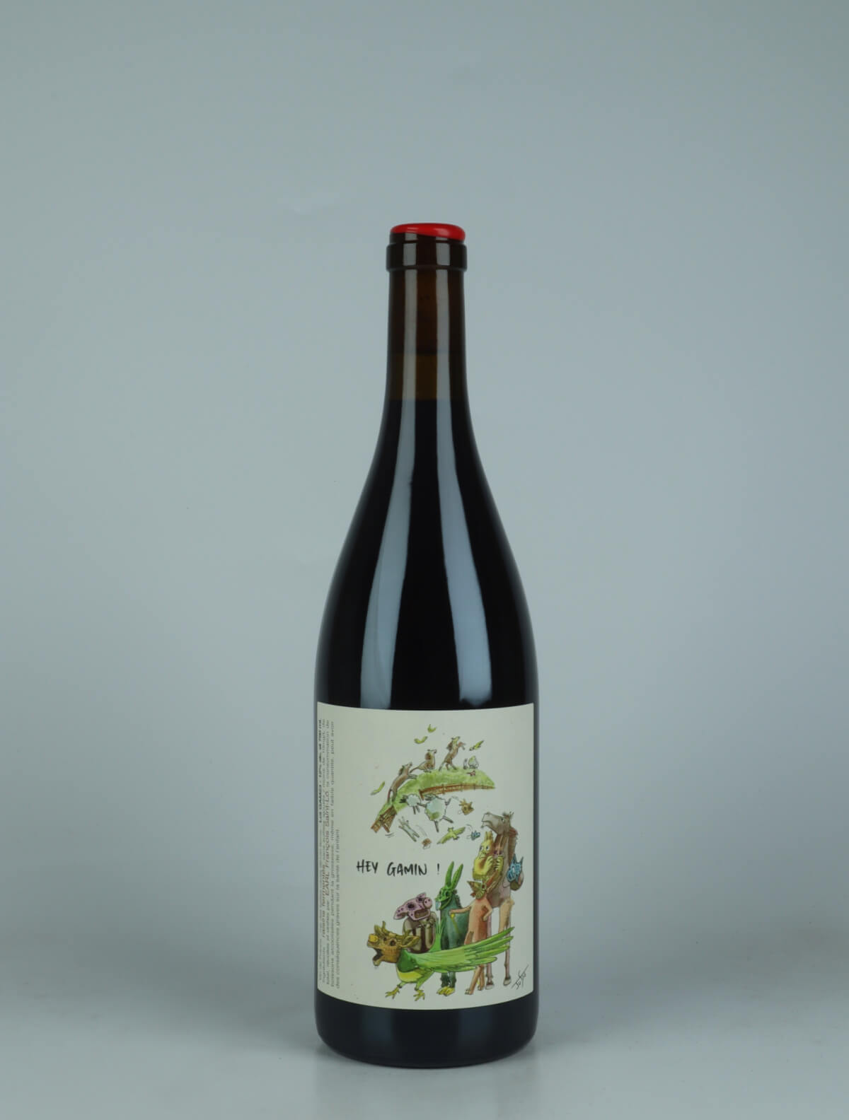 A bottle 2023 Hey Gamin! Rødvin from François Saint-Lô, Loire in Frankrig