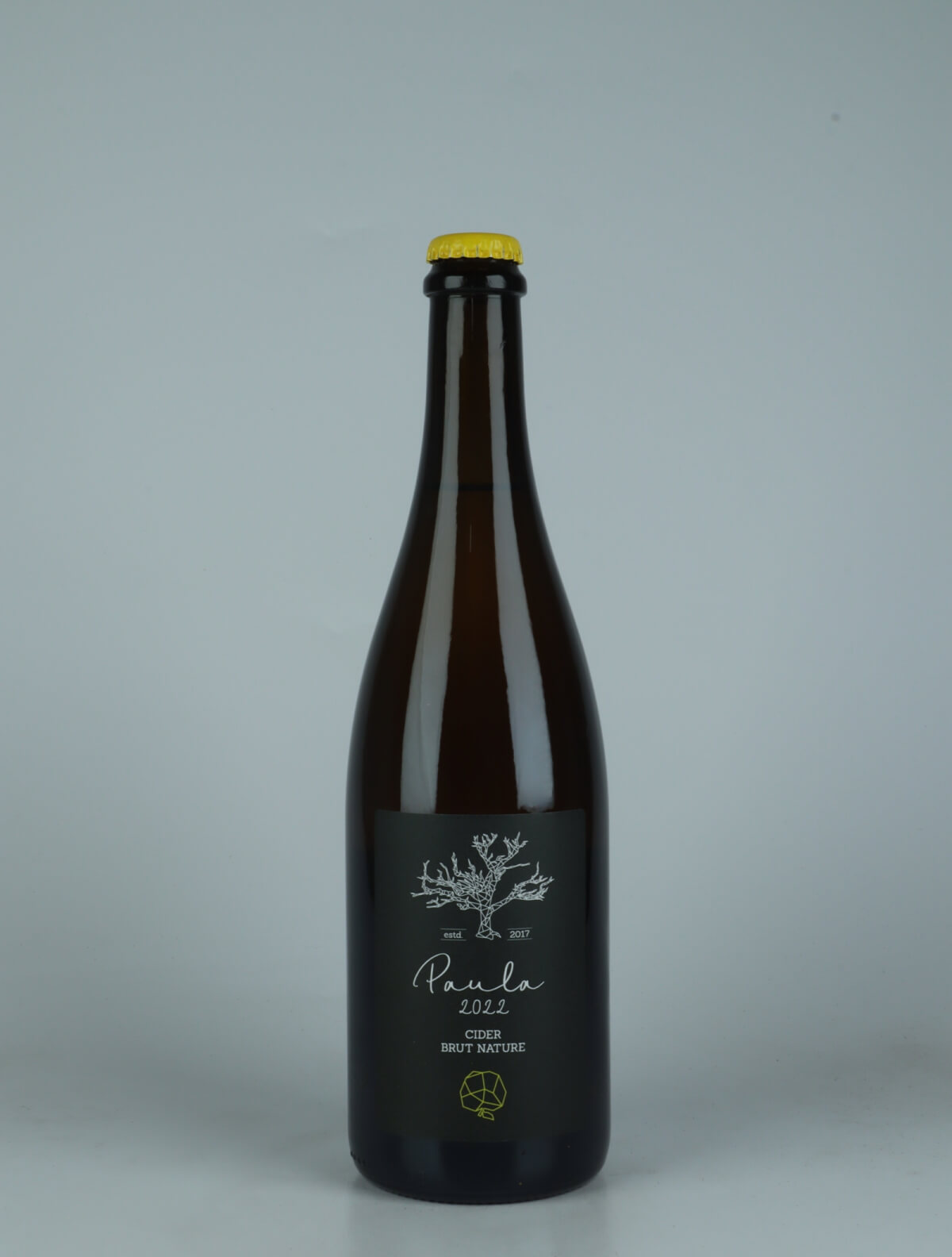 A bottle 2022 Paula Cider from Racines Rebelles, Moselle in Luxemburg