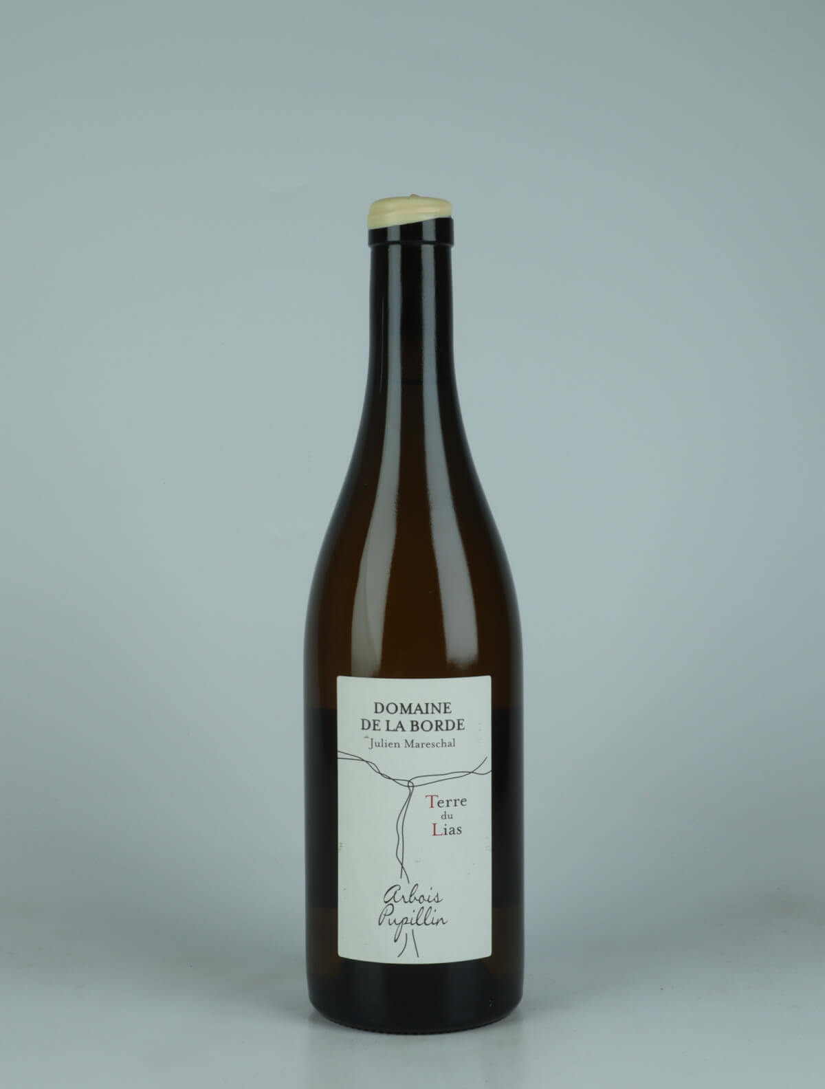 A bottle 2023 Terre du Lias Hvidvin from Domaine de la Borde, Jura in Frankrig