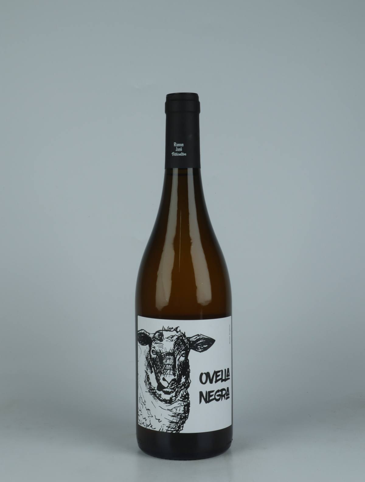 A bottle 2024 Ovella Negra Orange vin from Mas Candí, Penedès in Spanien
