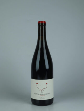 A bottle 2023 Côteaux Bourguignons - Les Noces Red wine from Clarisse de Suremain, Burgundy in France