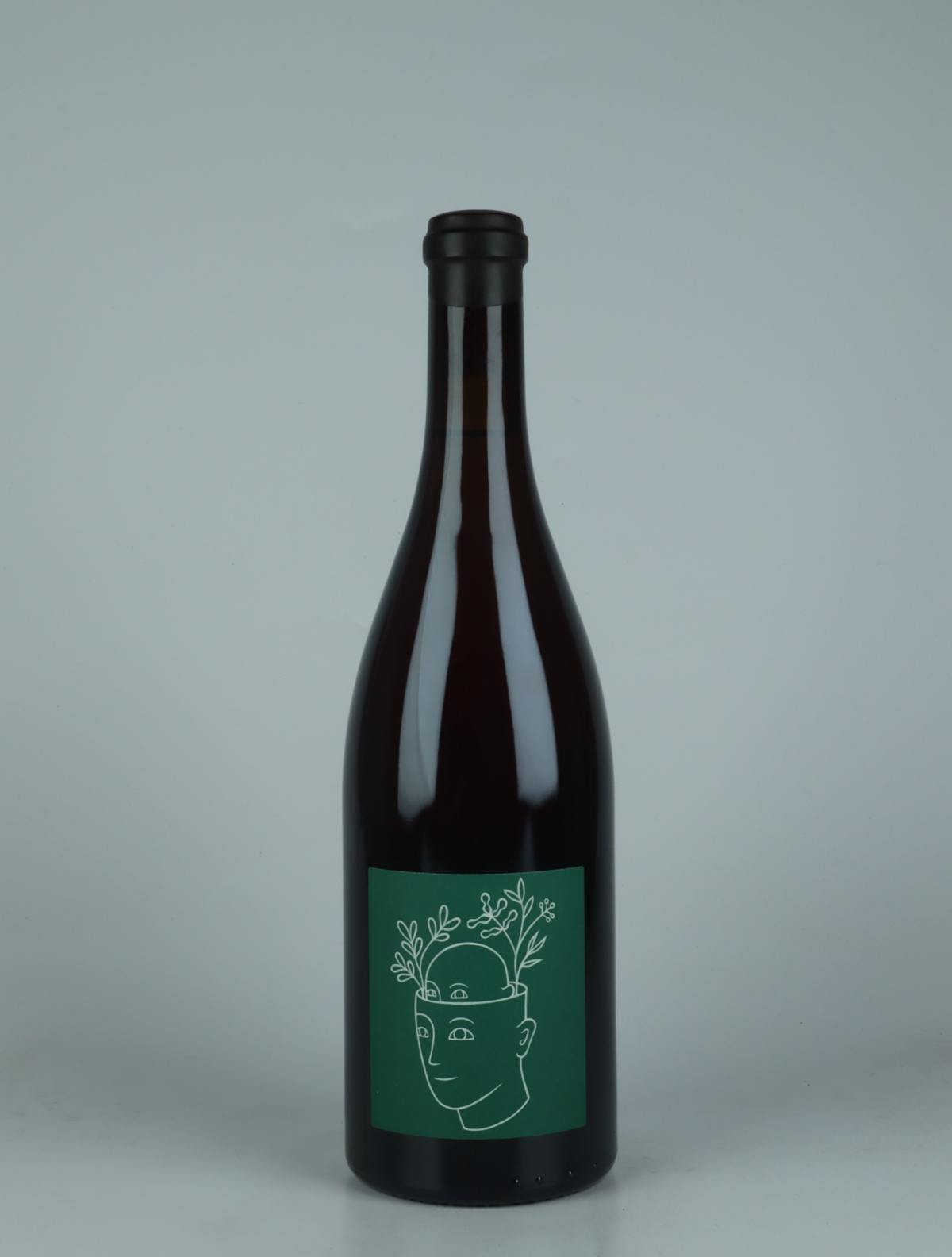 A bottle 2021 Coteaux Champenois - La Vie Est Stroebel Rosé from Stroebel, Champagne in France
