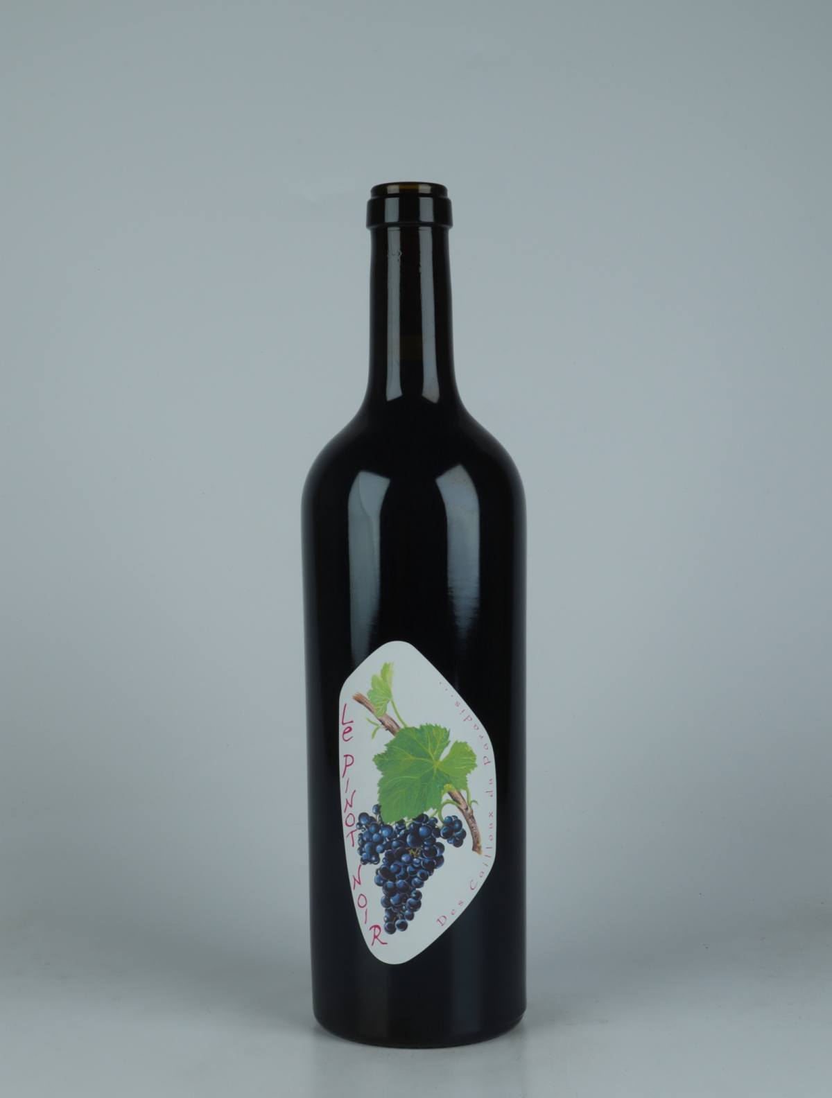A bottle 2023 Pinot Noir Rødvin from Etienne Courtois, Loire in Frankrig