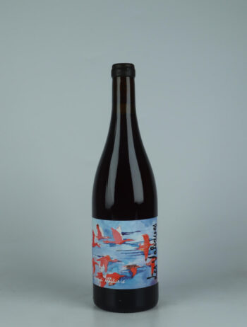 A bottle 2023 Sanza Nocturne Red wine from Les Valseuses, Jura in France