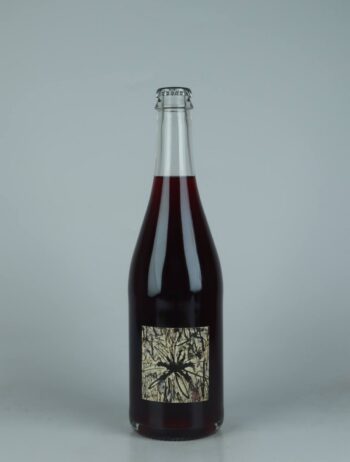 A bottle 2024 Linia Ondulata Red wine from Absurde Génie des Fleurs, Languedoc in France
