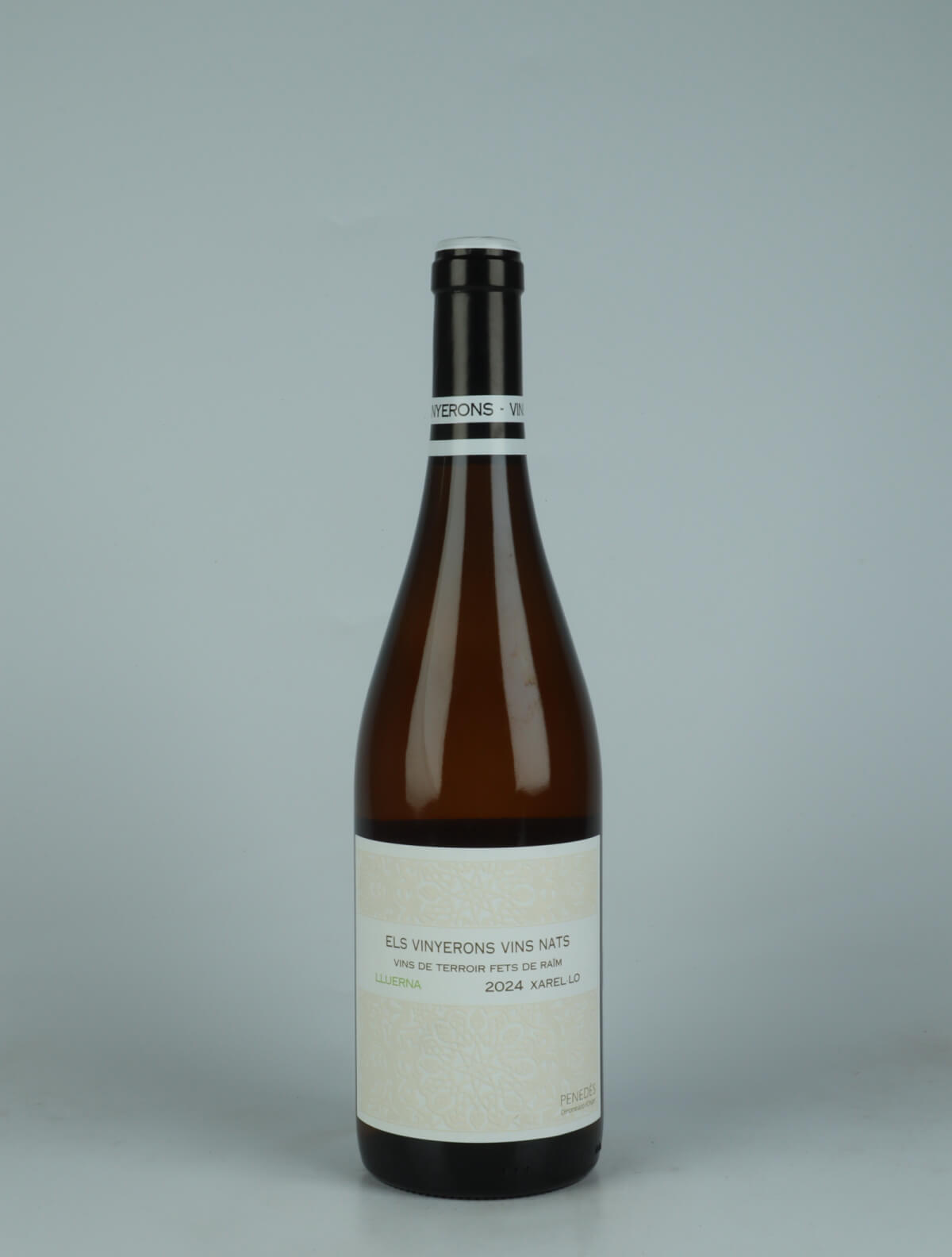 A bottle 2024 Lluerna White wine from Els Vinyerons, Penedès in Spain