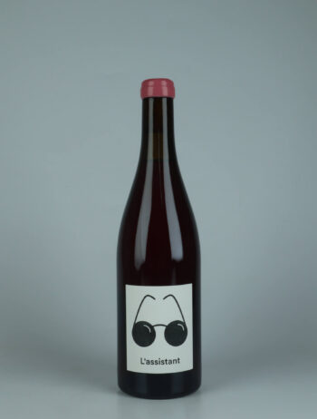 A bottle 2024 L'Assistant Red wine from The Office, Loire in France