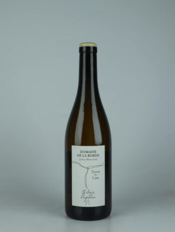 A bottle 2024 Terre du Lias White wine from Domaine de la Borde, Jura in France