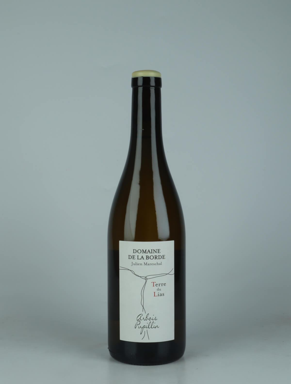 A bottle 2024 Terre du Lias White wine from Domaine de la Borde, Jura in France