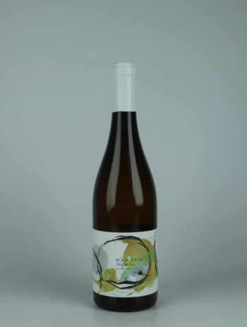 A bottle 2024 Bourgogne Aligoté - Les Peteurs White wine from Domaine Didon, Burgundy in France