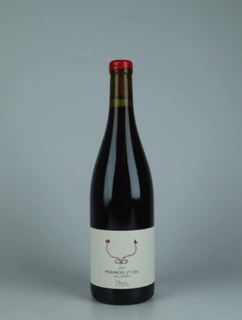 A bottle 2023 Maranges Rouge 1. Cru - Les Loyères Red wine from Clarisse de Suremain, Burgundy in France