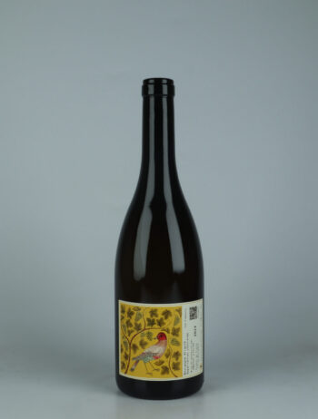 A bottle 2024 Bourgogne Aligoté White wine from Les Flaneurs, Burgundy in France