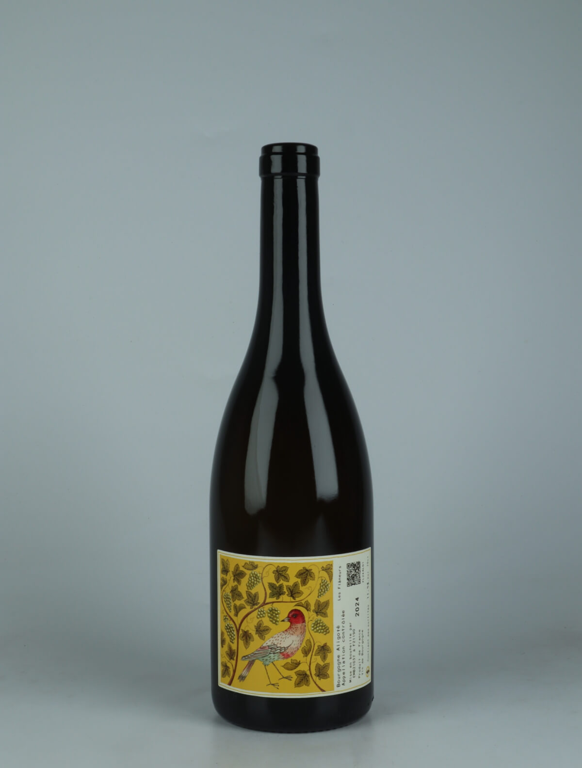 A bottle 2024 Bourgogne Aligoté White wine from Les Flaneurs, Burgundy in France