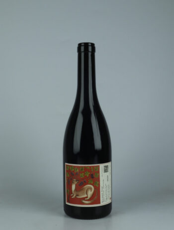 A bottle 2024 Bourgogne Rouge Red wine from Les Flaneurs, Burgundy in France