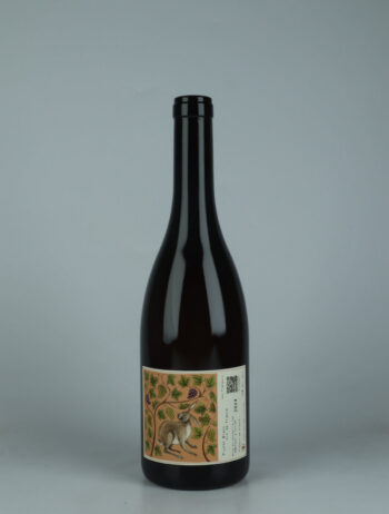 A bottle 2024 Plutôt Blanc White wine from Les Flaneurs, Burgundy in France