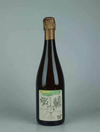A bottle 2020 Chamery 1. Cru - Le Village Sparkling from Thomas Perseval, Champagne in France