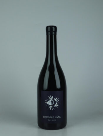 A bottle 2024 Damnare Anno MMXXIV Red wine from Brice Martin, Burgundy in France