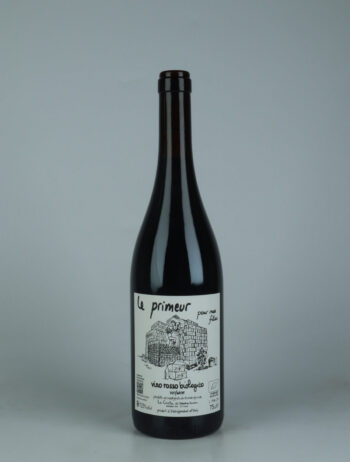 A bottle 2024 Primeur Red wine from Le Coste, Lazio in Italy