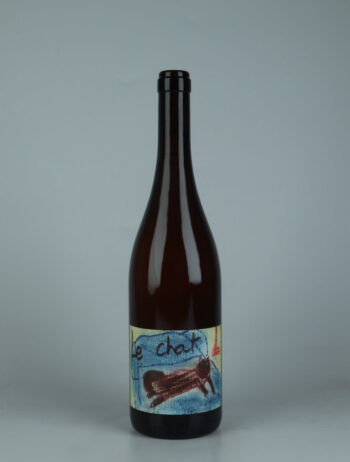 A bottle 2023 Le Chat White wine from Le Coste, Lazio in Italy