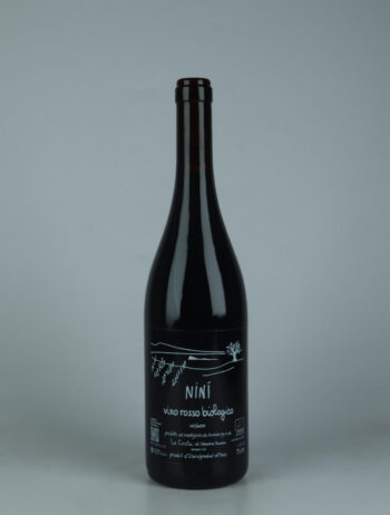 A bottle 2022 Ninì Red wine from Le Coste, Lazio in Italy