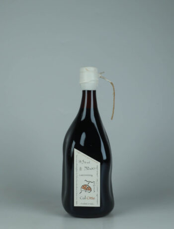 A bottle 2023 Cul Otte Red wine from Fabio Gea, Piedmont in Italy